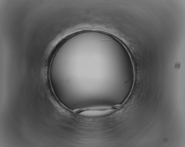 X0000097831503200803281148