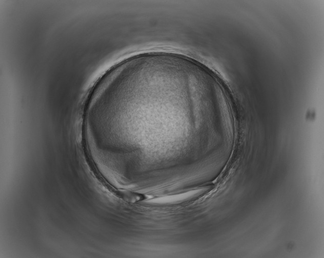 X0000097831504200803281148