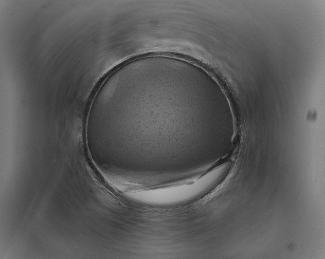 X0000097831505200803281148