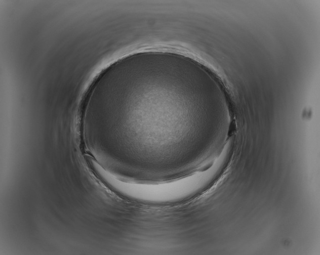 X0000097831506200803281148