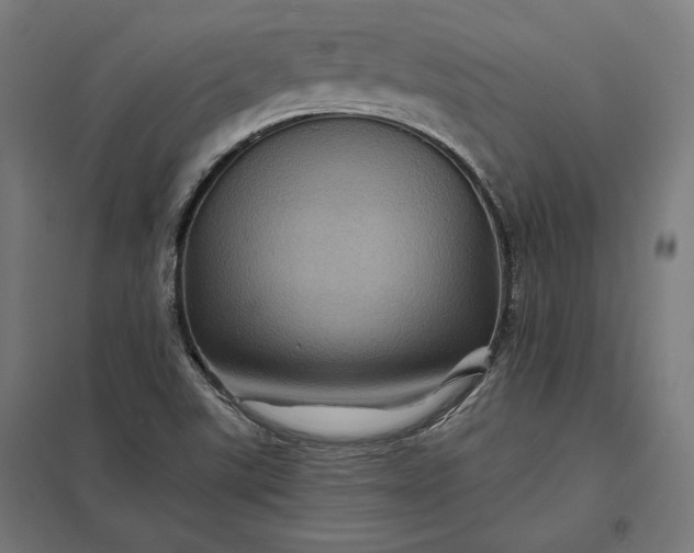 X0000097831507200803281148