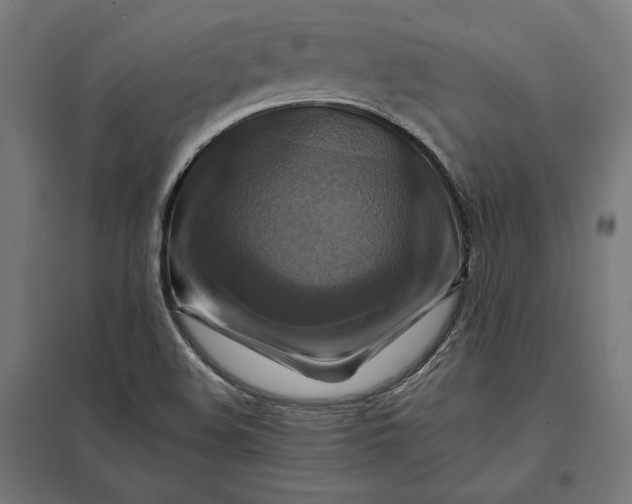 X0000097831508200803281148