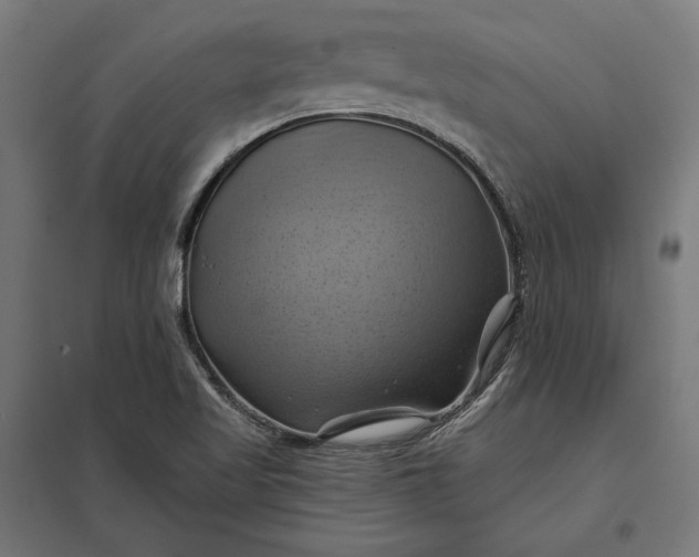 X0000097831509200803281148