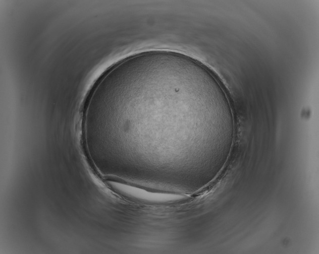 X0000097831511200803281148