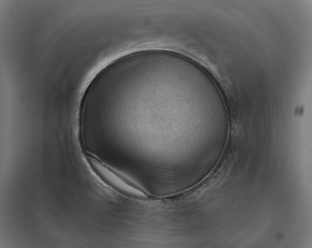 X0000097831512200803281148