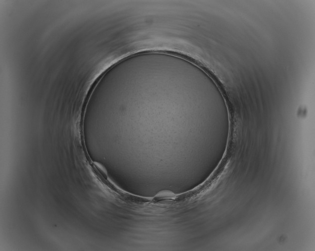 X0000097831513200803281148