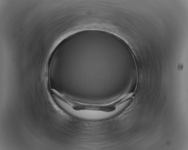 X0000097831515200803281148