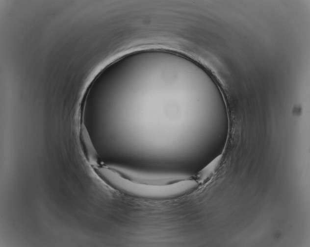 X0000097831516200803281148