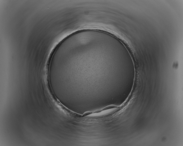 X0000097831517200803281148