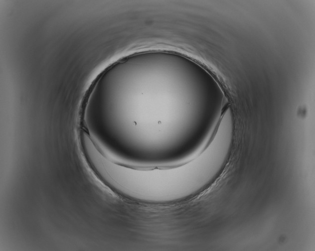 X0000097831518200803281148