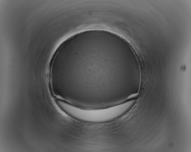 X0000097831519200803281148