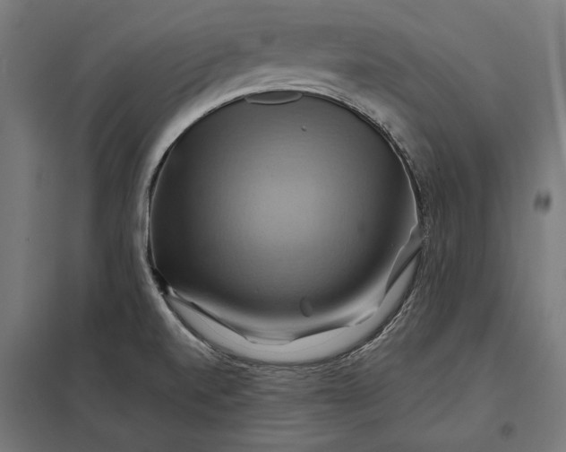 X0000097831520200803281148