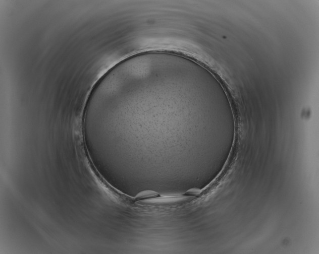 X0000097831521200803281149