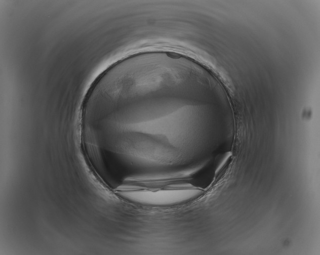 X0000097831522200803281149