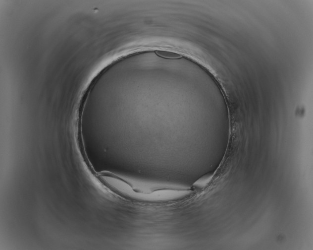 X0000097831523200803281149