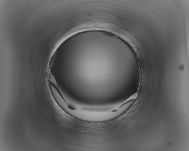 X0000097831524200803281149