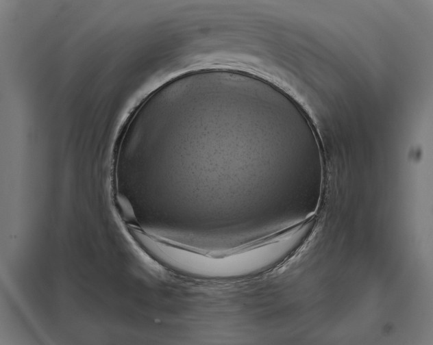 X0000097831525200803281149