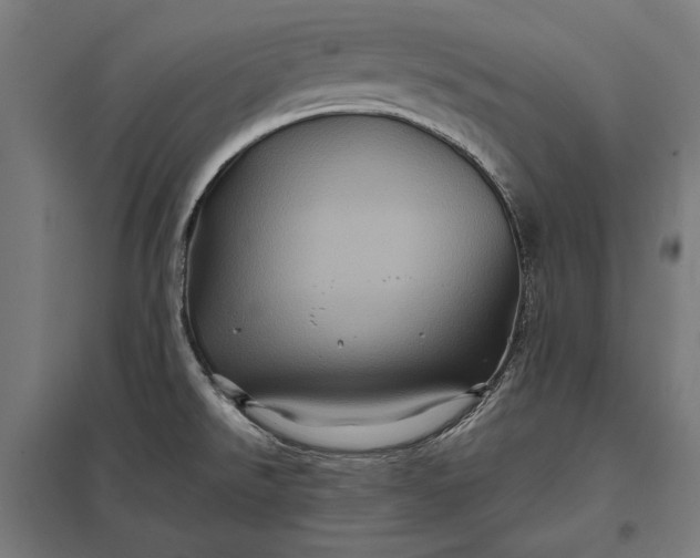 X0000097831526200803281149