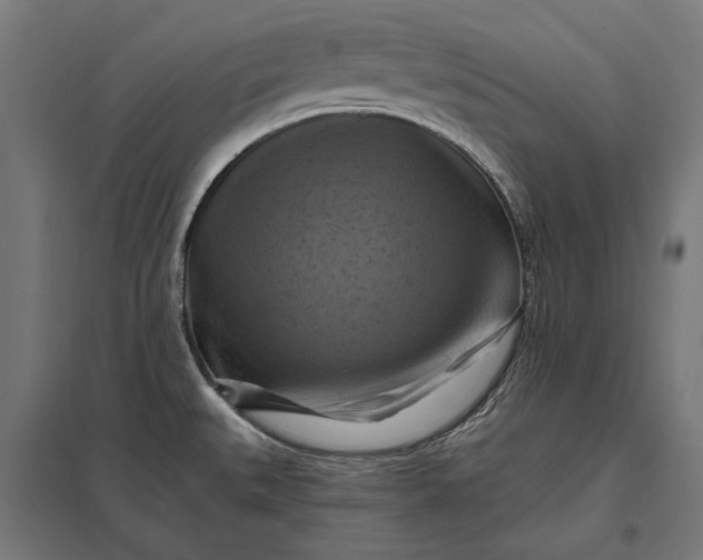 X0000097831527200803281149