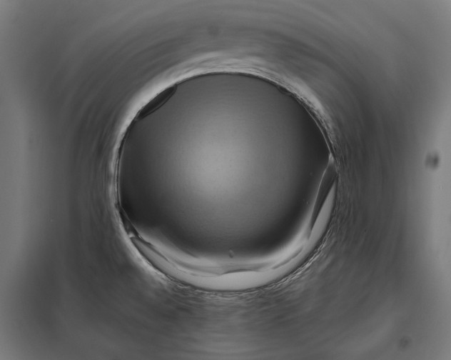 X0000097831528200803281149