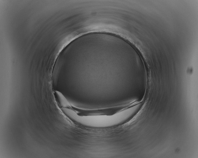 X0000097831529200803281149