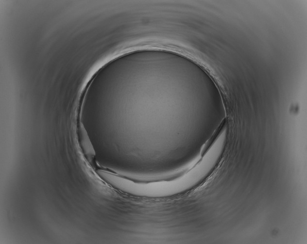 X0000097831530200803281149