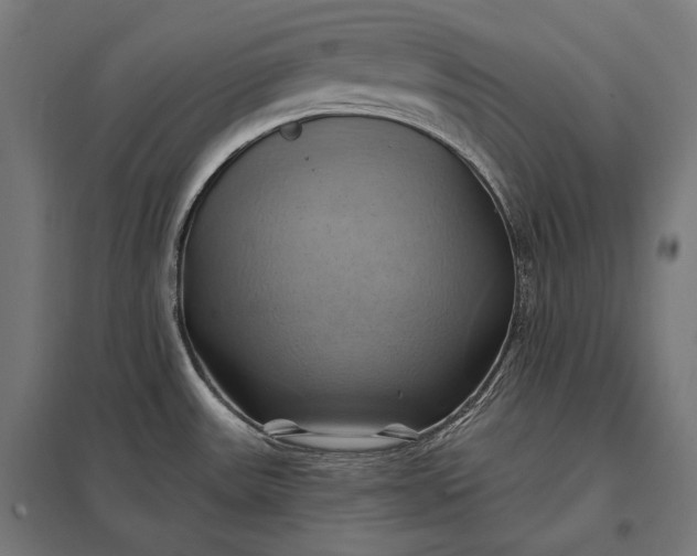 X0000097831531200803281149