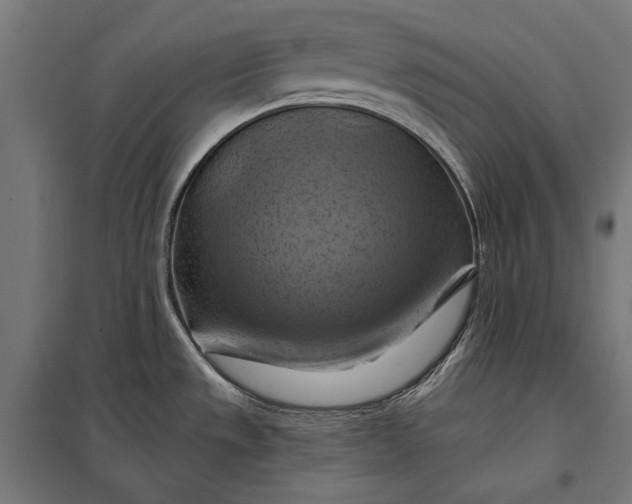 X0000097831533200803281149