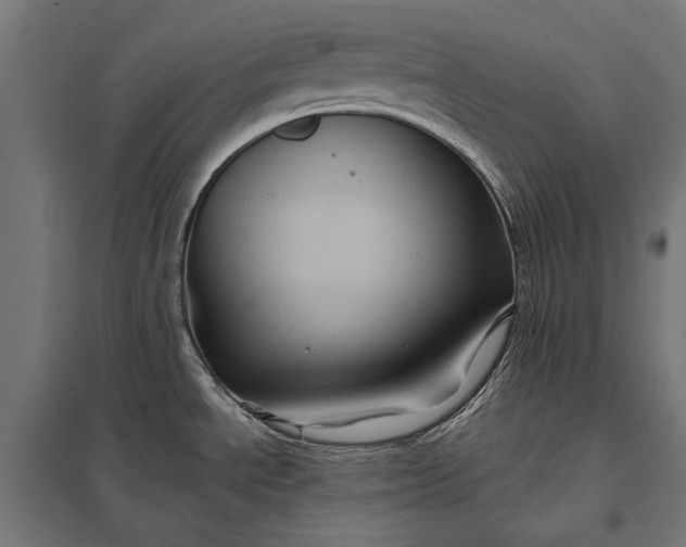 X0000097831534200803281149