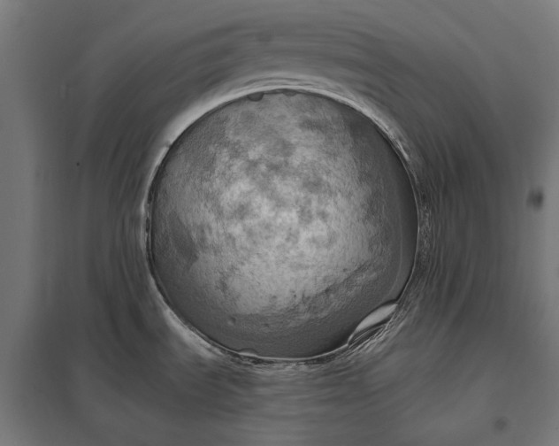 X0000097831535200803281149