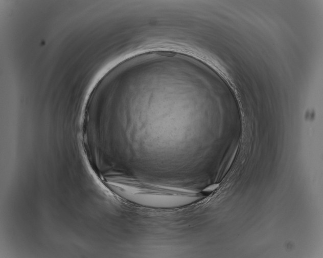 X0000097831536200803281149