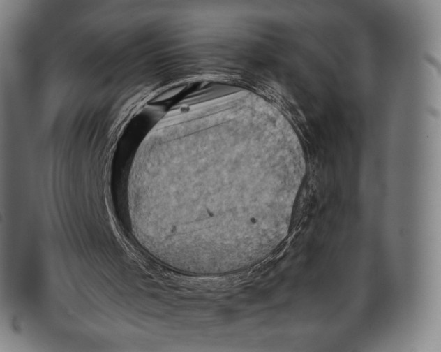 X0000097830001200804041431