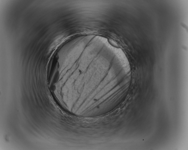 X0000097830002200804041431