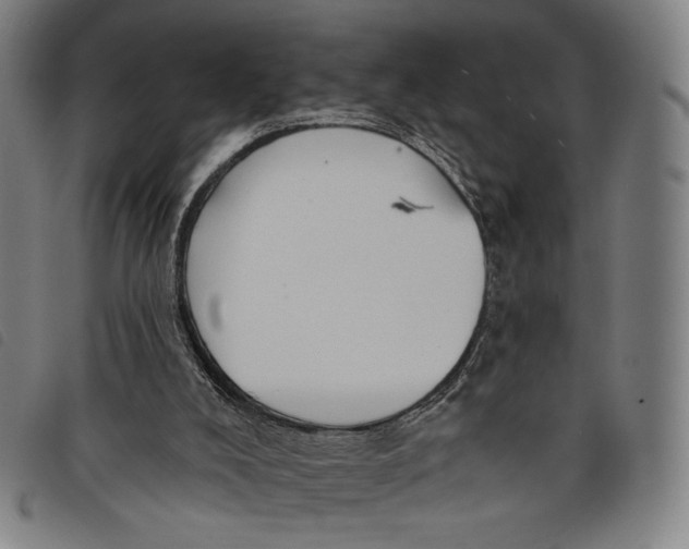 X0000097830008200804041431