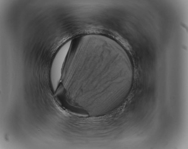 X0000097830009200804041431