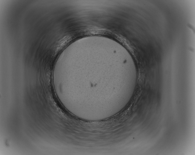 X0000097830010200804041431