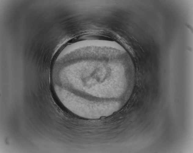 X0000097830011200804041431