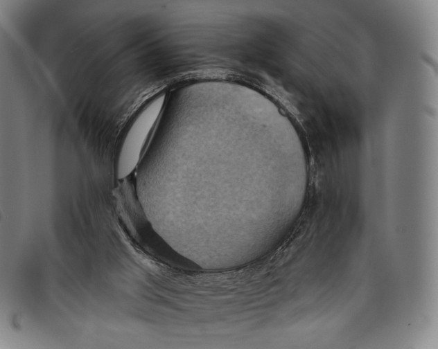 X0000097830013200804041431