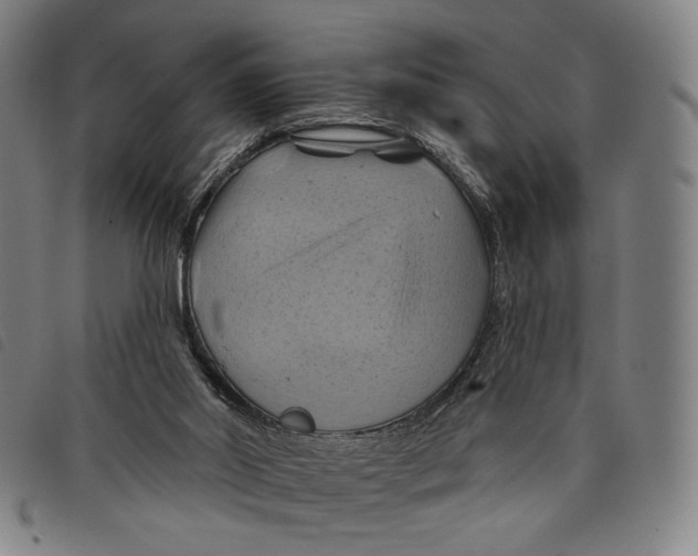 X0000097830014200804041431