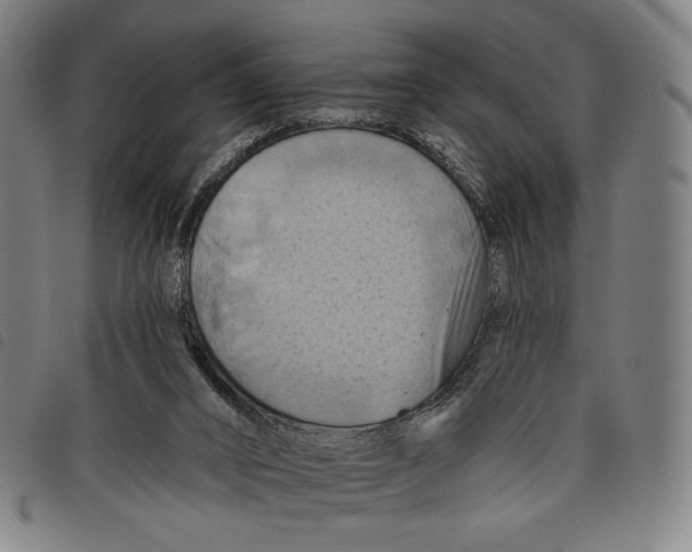 X0000097830016200804041431