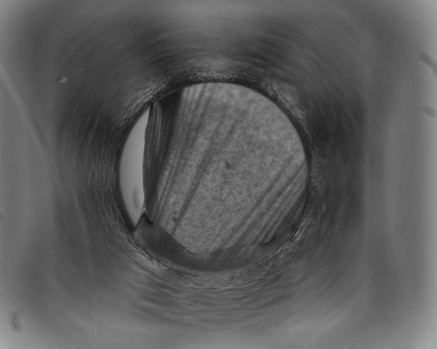 X0000097830017200804041431