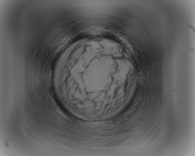 X0000097830018200804041431