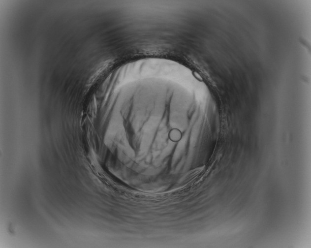 X0000097830019200804041431