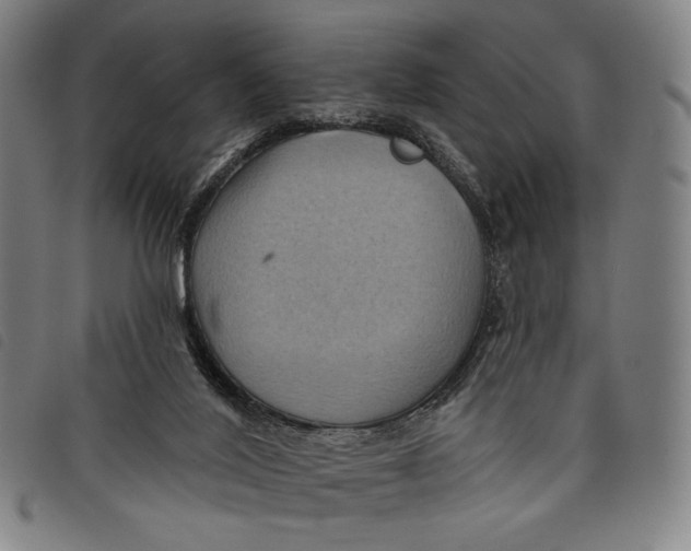 X0000097830020200804041431