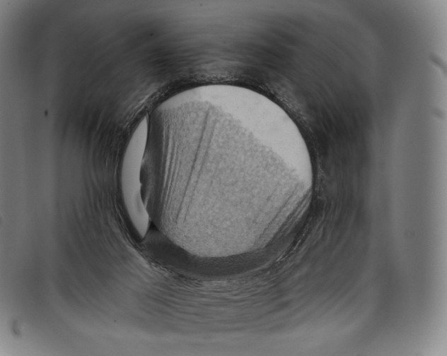 X0000097830021200804041431