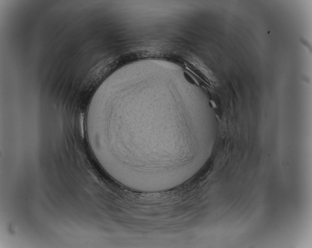 X0000097830022200804041431