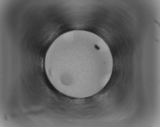 X0000097830024200804041431