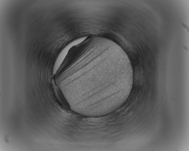 X0000097830025200804041431