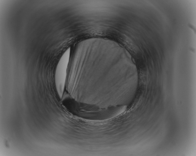 X0000097830029200804041431