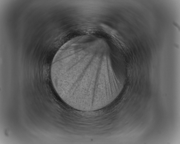 X0000097830030200804041431